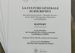 Couverture du Compte-rendu de lecture du rapport sur la culture générale de l’Académie des sciences morales et politiques, rédigé par Olivier Houdé.