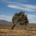 Un arbre solitaire se dresse contre le vent dans un paysage désertique aride sous un ciel bleu dégagé. ©Pexels-Jan Zakelj